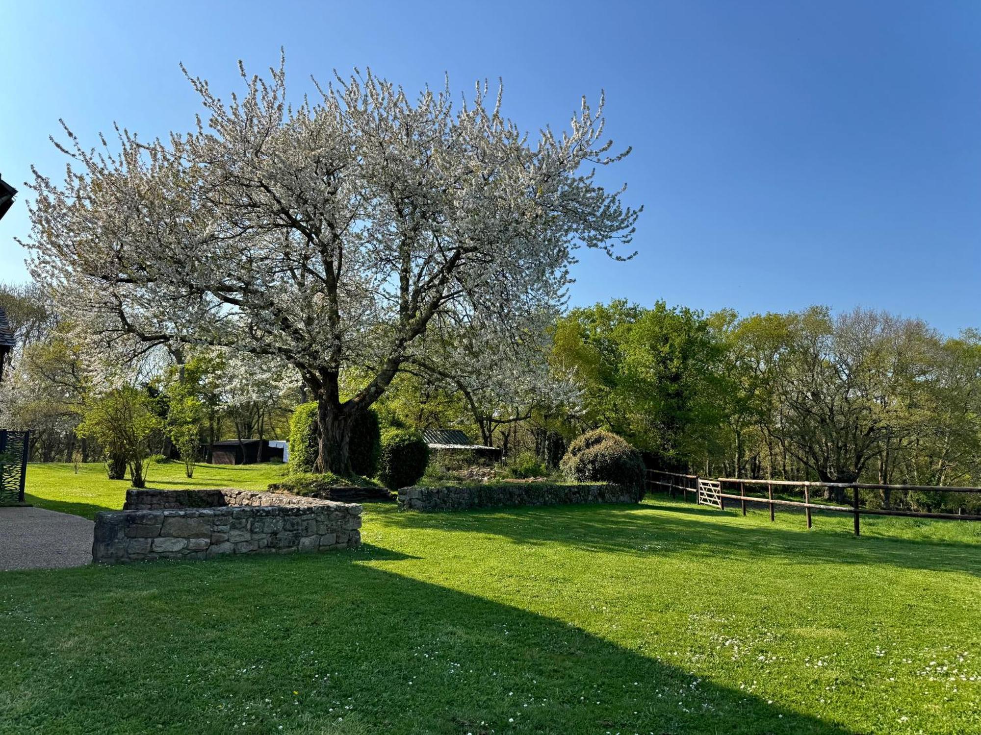 Le Domaine Du Ganquis Ξενοδοχείο Belz Εξωτερικό φωτογραφία